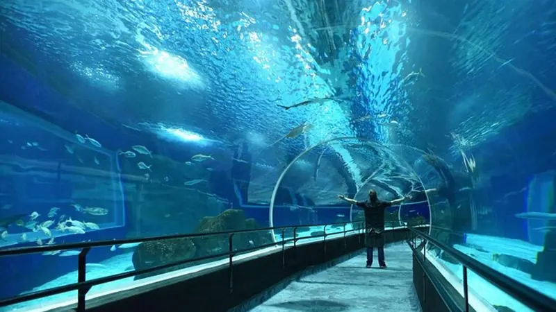 Entrada al AquaRio, el acuario de Río
